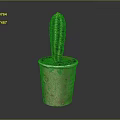 Potted Cactus Plant in Decorative Planter with Pink and Green Floral Patterns