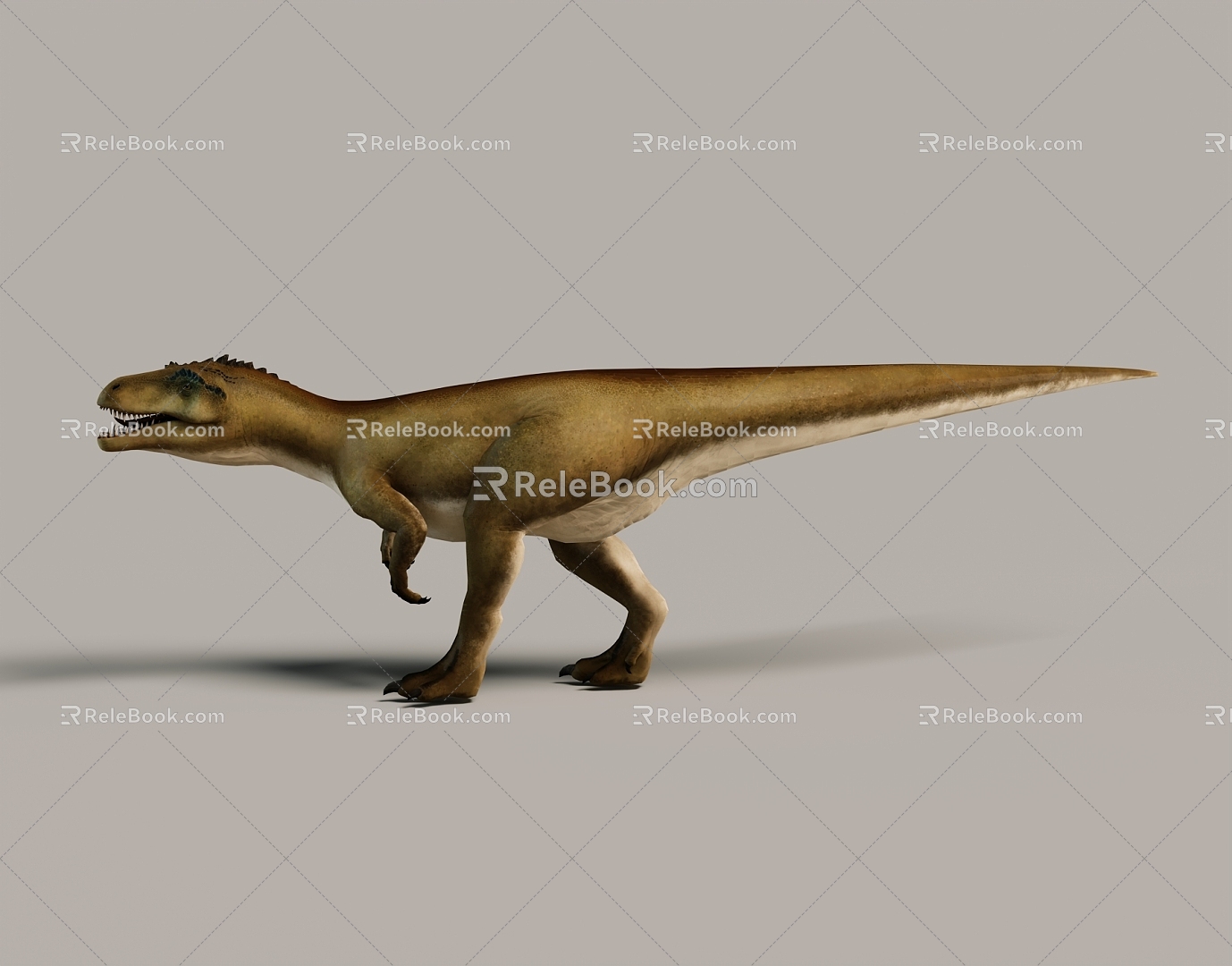 Modern Dinosaur Binding Jurassic Paleontology Toy Hand-held Ornaments Popular Science Museum Exhibition Hall 3d model