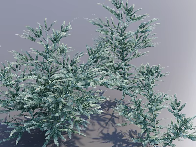 Lush Green Shrubs With Dense Foliage And Natural Shadow Patterns 3d model