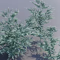 Lush Green Shrubs With Dense Foliage And Natural Shadow Patterns 3d model