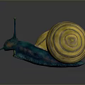 Unique Vibrant Snail With Blue Body Yellow Striped Shell And Long Antennae