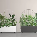 White and Black Rectangular Planters with Wheels Holding Various Green Plants and Arched Metal Frames 3d model