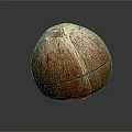 Fresh Whole Coconut Fruit with Natural Brown Husk and Smooth Surface