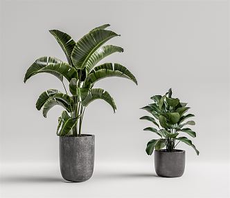 modern potted plant potted plant 3d model