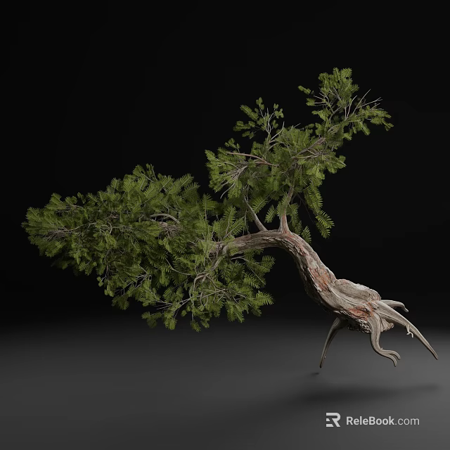 Natural Arbor With Curved Trunk Lush Green Leaves And Exposed Roots 3d model 