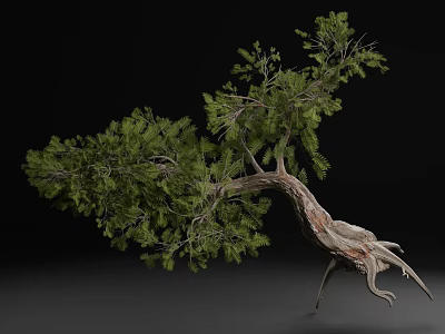 Natural Arbor With Curved Trunk Lush Green Leaves And Exposed Roots 3d model