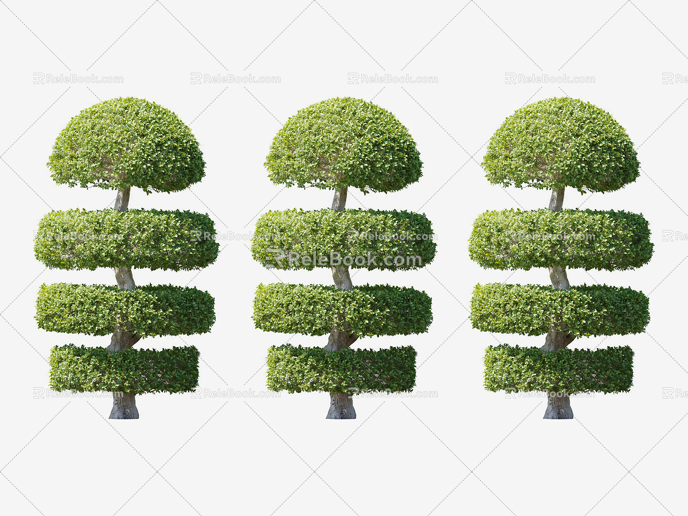 Modern Shrub Plants 3d model