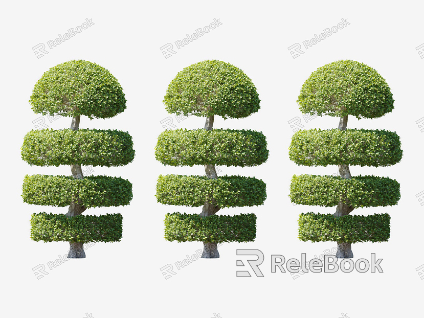 Modern Shrub Plants model