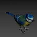Colorful Bird With Blue Head Green Body Yellow Belly And White Stripes