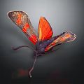 Vibrant Red Winged Moth With Orange Spots And Dark Body On Dark Background