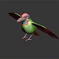 Colorful Tropical Bird With Green Wings Red Head Blue Neck Spreading Wings On Shiny Surface