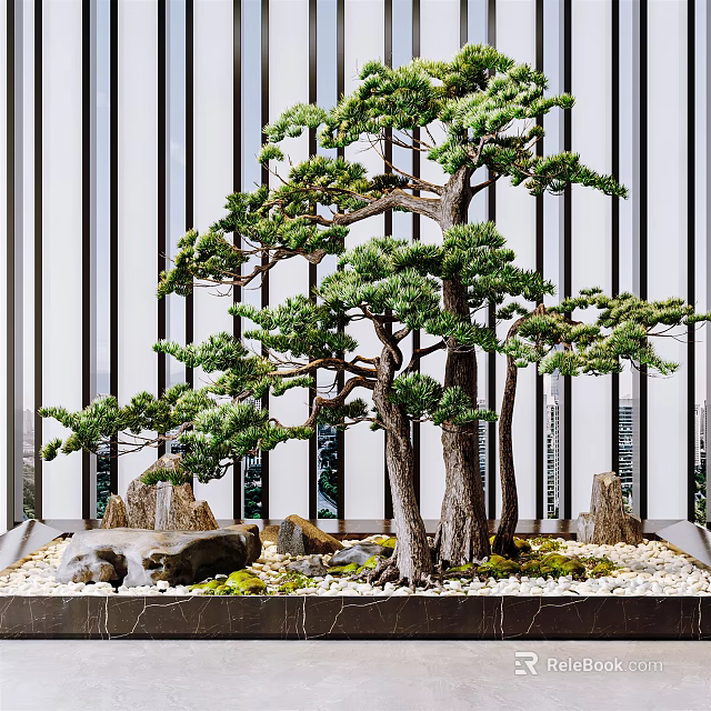 Arbor Bonsai Pine Trees with Stones and Greenery on Marble Base in Modern Background 3d model