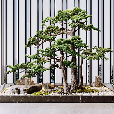 Arbor Bonsai Pine Trees with Stones and Greenery on Marble Base in Modern Background 3d model