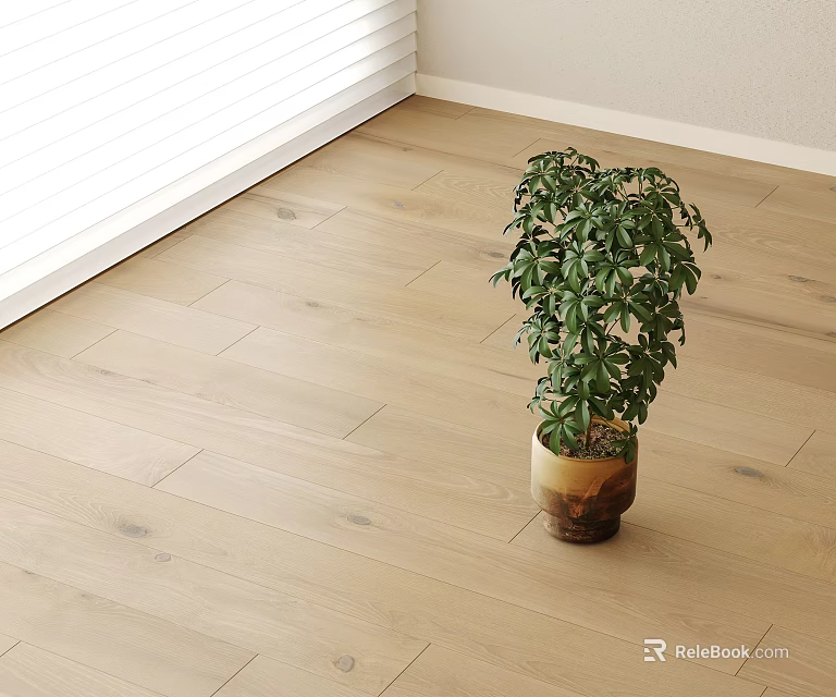 Light Colored Wooden Flooring With Potted Plant In Modern Room Interior And White Blinds 3d model 