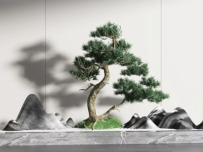 Garden Ornament Display With Bonsai Pine Tree Rock Formations Green Grass And Water Surface 3d model