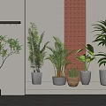 Modern Indoor Potted Plants Display With Various Greenery Different Planter Styles And Decorative Wall
