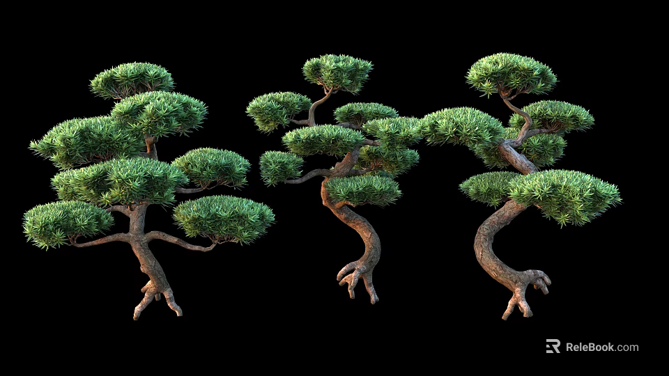 Unique Shaped Trees With Curved Trunks Lush Green Foliage Exposed Roots Against Black Background 3d model 