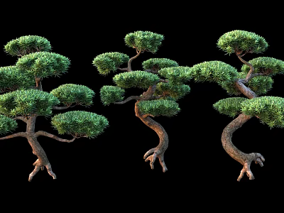 Unique Shaped Trees With Curved Trunks Lush Green Foliage Exposed Roots Against Black Background 3d model