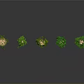 Different Types of Hanging Plants in Baskets with Green Vines on White Background