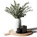 White Vase with Green Eucalyptus Foliage on Wooden Tray and Black Mugs