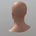 Human Head Male Head Male Head Face Middle-aged Male Head Asian Head Low Face Number Low Model Simple Model Game Video Level Super Realistic High Precision 3d model