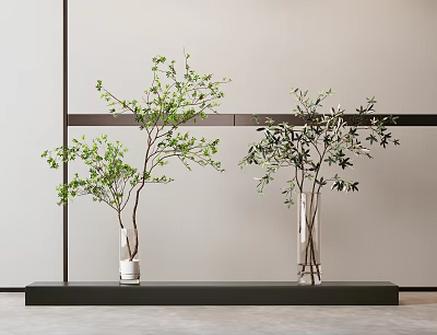 Glass Vases with Green Foliage and Olive Branches on Black Platform Against Light Wall 3d model