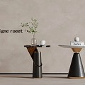 24 Coffee Table Modern Coffee Table Side Table Ornaments 3d model