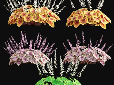 Vibrant Four Colored Flower Arrangements With Orange Pink Blooms Green Leaves Black Background 3d model