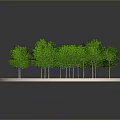 Vibrant Green Arbors Growing on Circular Platform with Lush Green Grass