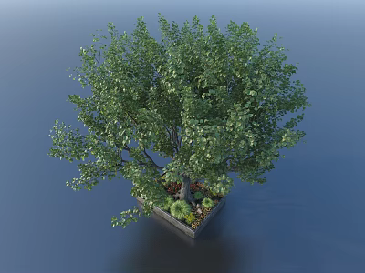 Thriving Arbor In Square Container With Small Plants And Reflective Blue Surface 3d model