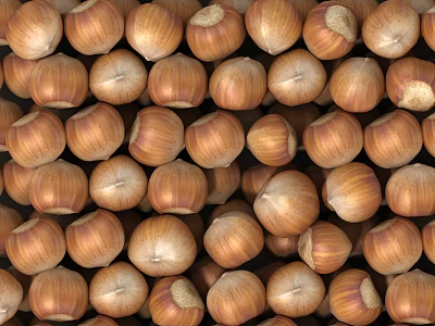 Fresh Organic Hazelnuts Arranged in Natural Pattern for Healthy Snacking Option 3d model