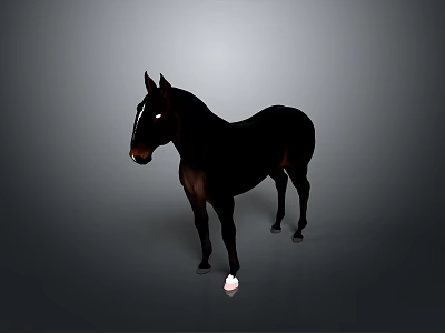 Realistic Black Horse With White Hooves Standing On Gray Background 3d model