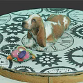 Brown and white Basset Hound lying on circular gear clock pattern mat with colorful toy