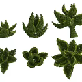 Green Decorative Shaped Bushes with Various Trimmed Garden Design Forms