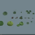 Different Types Of Decorative Garden Grass And Flower Plants With Various Shapes And Sizes