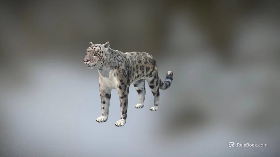 Wildlife Snow Leopard Standing Gracefully With Spotted Coat In Natural Mountain Habitat 3d model 