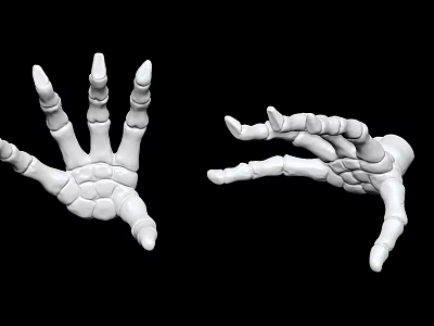 White Skeleton Hand Sculptures With Open Palm And Curved Fingers On Black Background 3d model