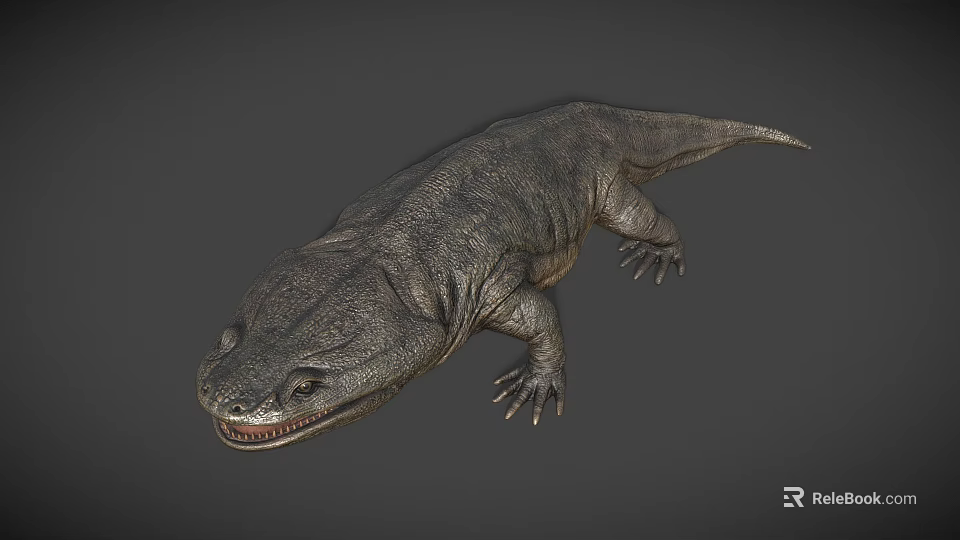 Giant Salamander With Gray Textured Skin And Open Mouth On Gray Background 3d model 