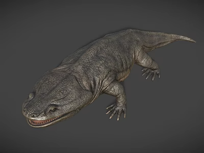 Giant Salamander With Gray Textured Skin And Open Mouth On Gray Background 3d model