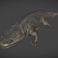 Giant Salamander With Gray Textured Skin And Open Mouth On Gray Background