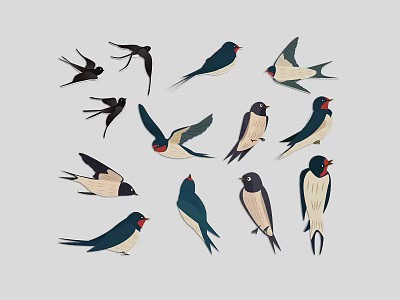 Colorful Swallows in Various Flying Poses on White Background Art Illustration 3d model