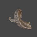 Detailed Ram Horn With Spiral Shape And Natural Texture Close Up