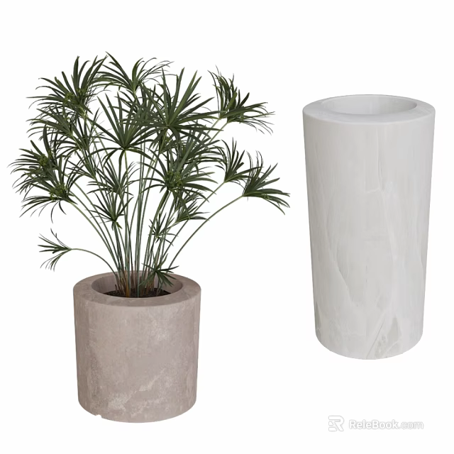 Lush Green Palm Plant In Gray Concrete Planter With White Marble Decorative Column 3d model 