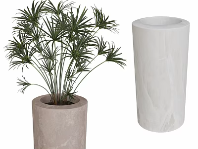 Lush Green Palm Plant In Gray Concrete Planter With White Marble Decorative Column 3d model