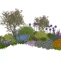 Vibrant Plant Combination With Various Flowers Shrubs Trees And Herbaceous Plants