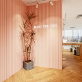 Modern Clothing Store Interior With Pink Walls Gray Sofas And Green Plants