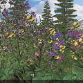 Colorful Blooming Flowers and Green Plants in Garden with Blue Sky and Tall Trees