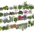 Diverse Colorful Flowers and Green Plants 3D Models Collection with Natural Elements