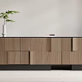 Sleek Modern Wooden Decorative Cabinet With Green Plant And White Vase