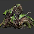 Lush Green Moss Plants Growing On Weathered Driftwood Natural Decorative Piece